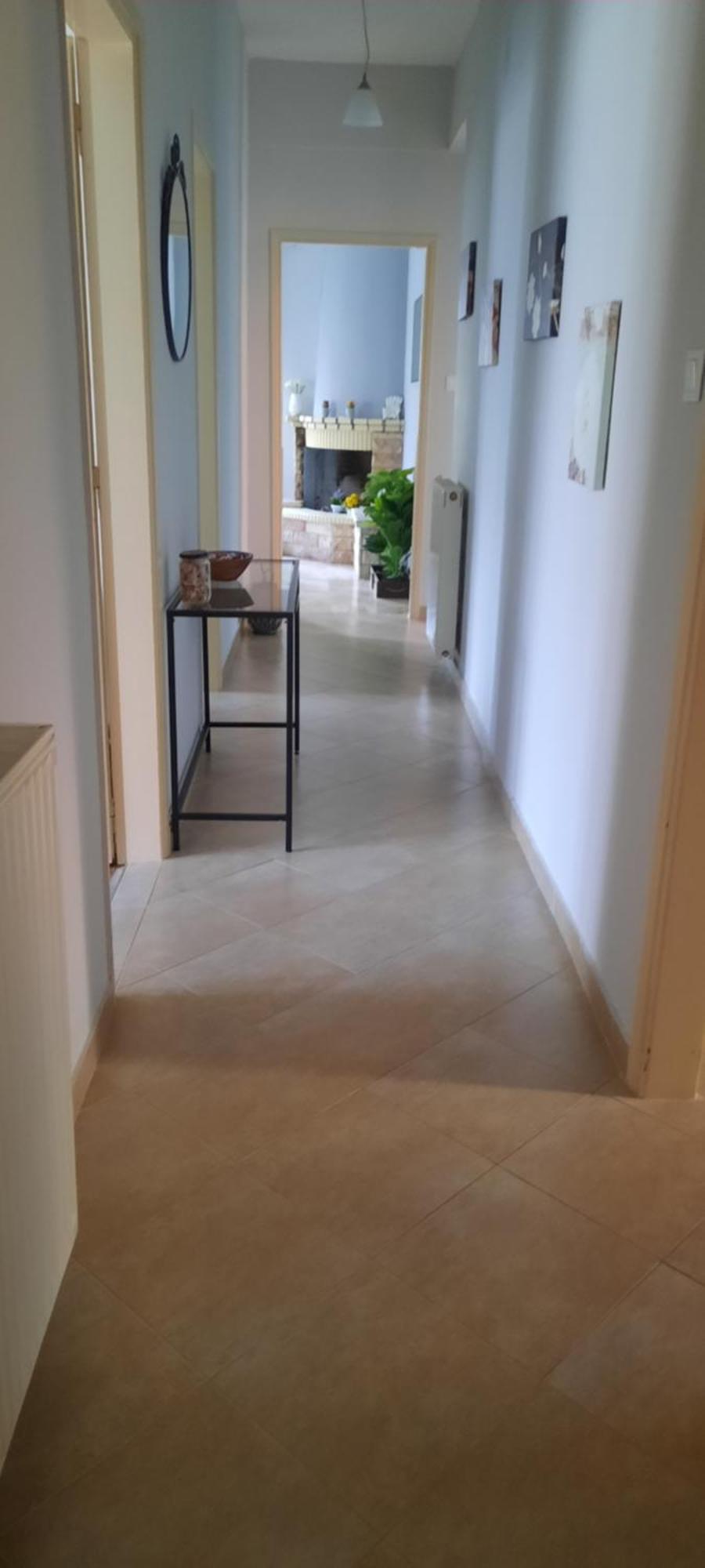 Seaside Family Apartment In Paralia Dionisiou Buitenkant foto