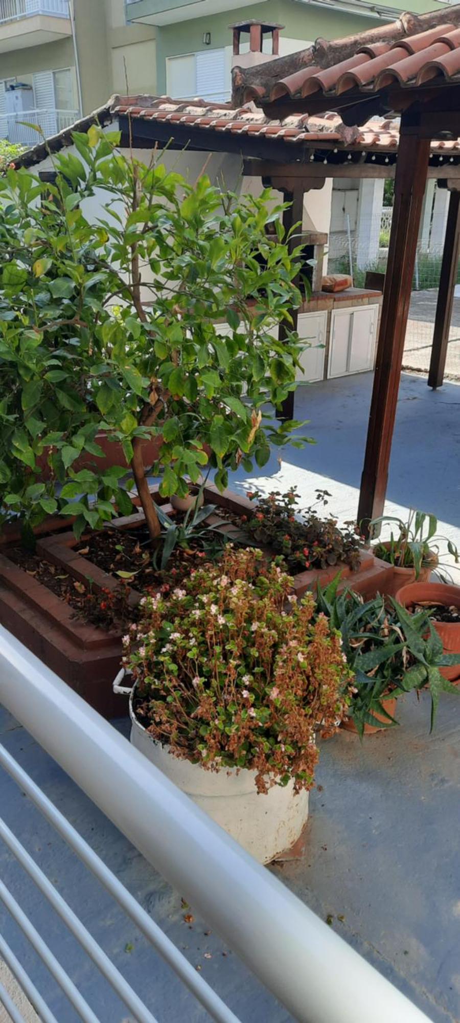 Seaside Family Apartment In Paralia Dionisiou Buitenkant foto