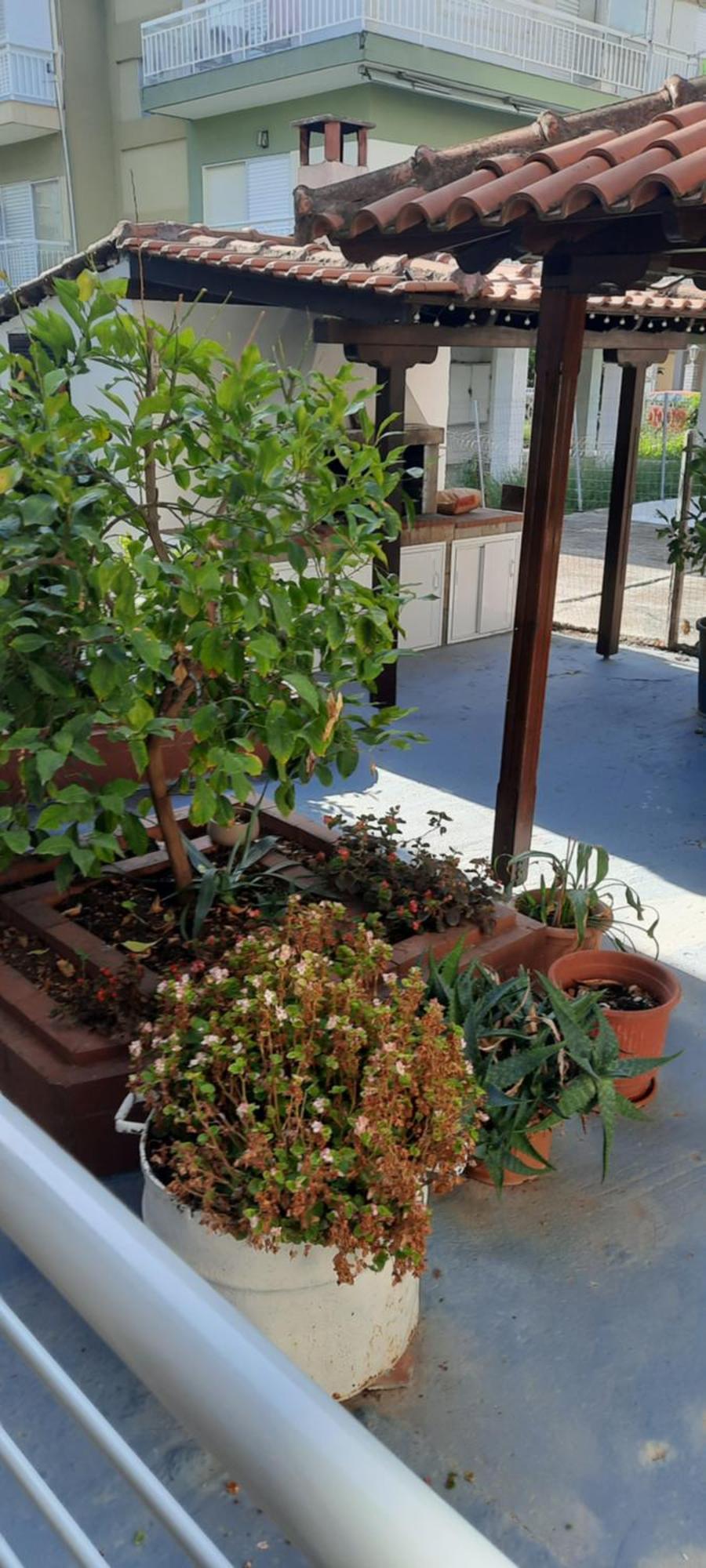 Seaside Family Apartment In Paralia Dionisiou Buitenkant foto